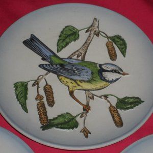 Goebel Wildlife Second Edition Blue Titmouse plate